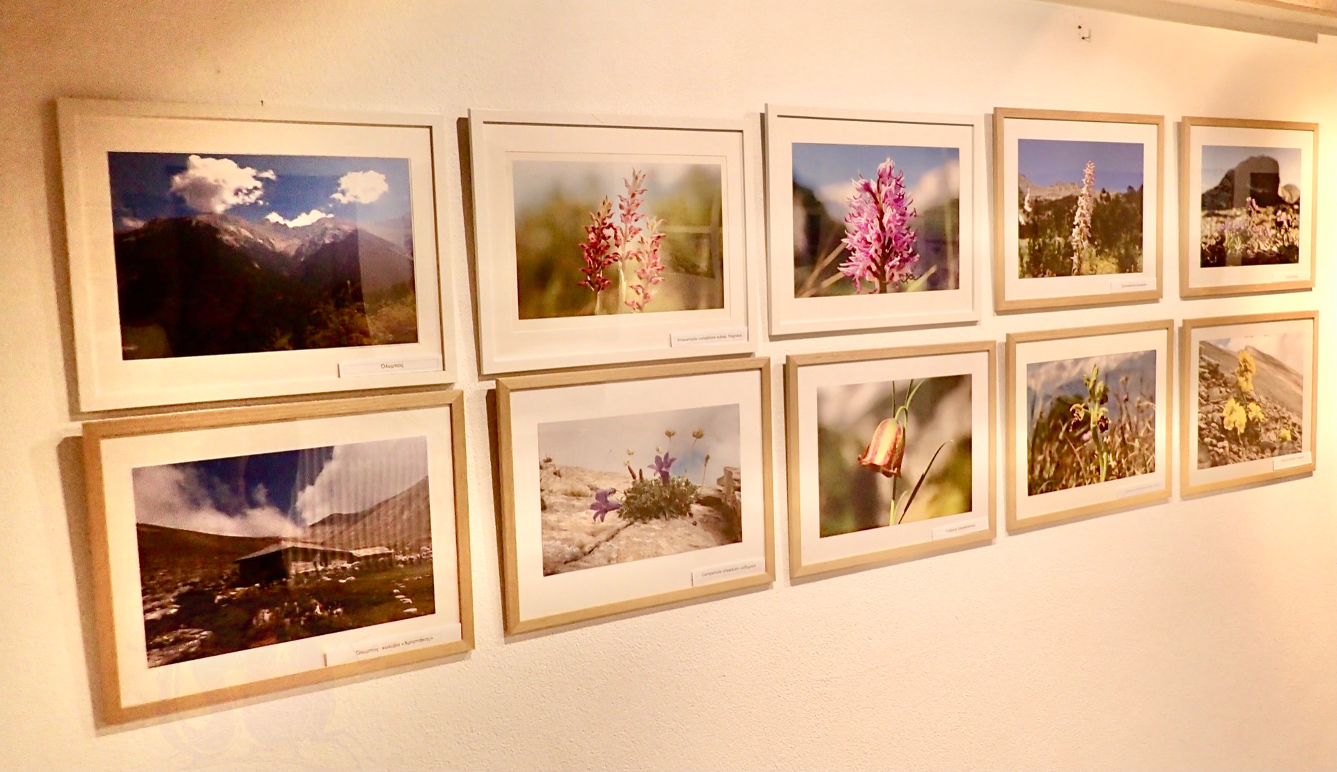 Φωτό από έκθεση φωτογραφιών του Λ. Κηπόπουλου